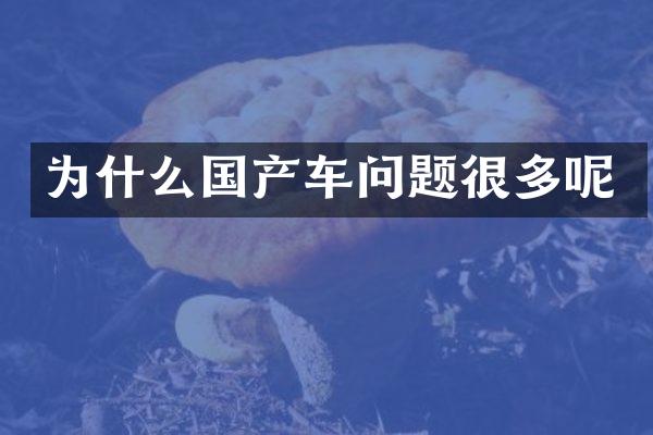 为什么国产车问题很多呢