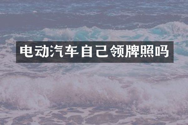 电动汽车自己领牌照吗
