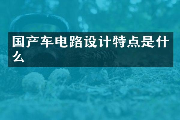 国产车电路设计特点是什么