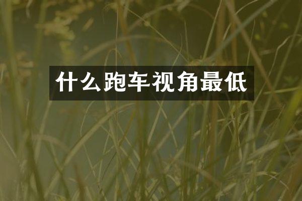 什么跑车视角最低