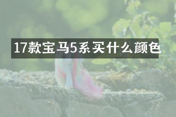 17款宝马5系买什么颜色