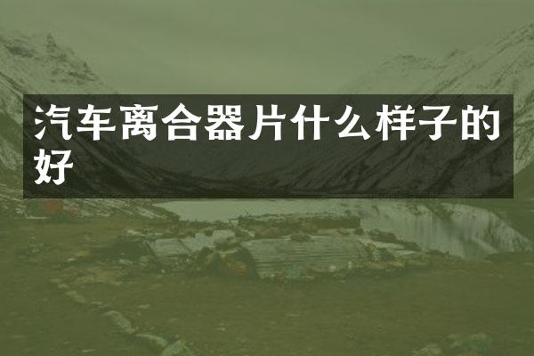 汽车离合器片什么样子的好