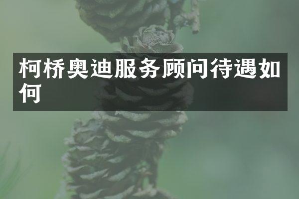 柯桥奥迪服务顾问待遇如何