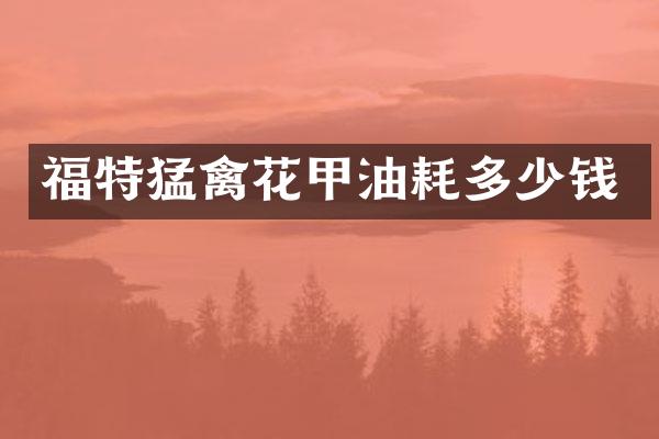 福特猛禽花甲油耗多少钱