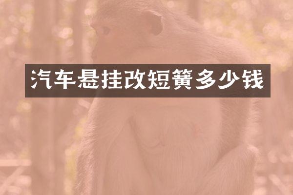 汽车悬挂改短簧多少钱