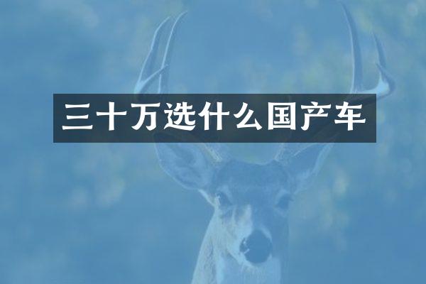 三十万选什么国产车