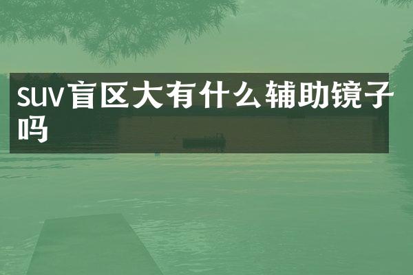 suv盲区大有什么辅助镜子吗