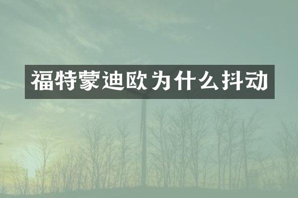 福特蒙迪欧为什么抖动