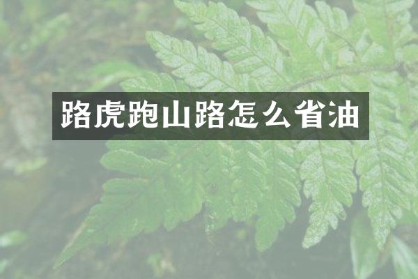 路虎跑山路怎么省油