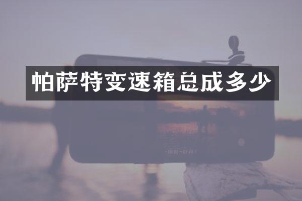 帕萨特变速箱总成多少