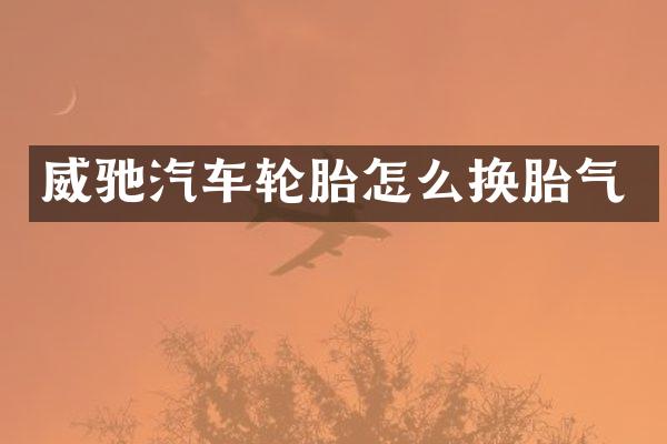 威驰汽车轮胎怎么换胎气