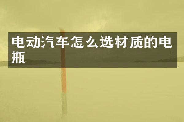 电动汽车怎么选材质的电瓶