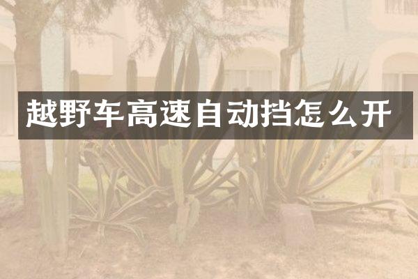 越野车高速自动挡怎么开