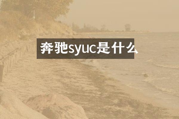 奔驰syuc是什么