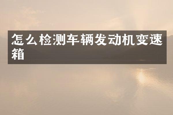 怎么检测车辆发动机变速箱
