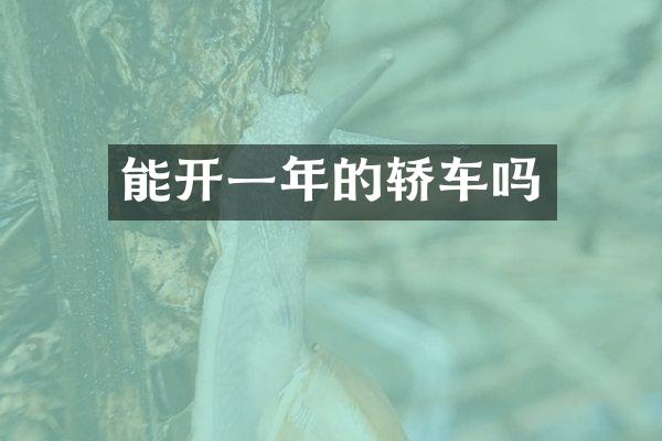 能开一年的轿车吗