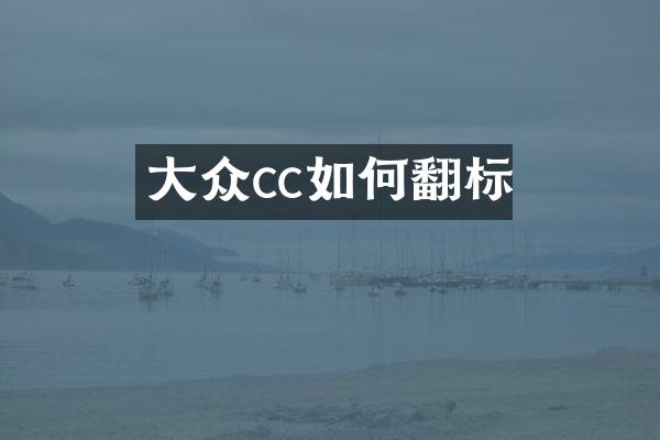 大众cc如何翻标