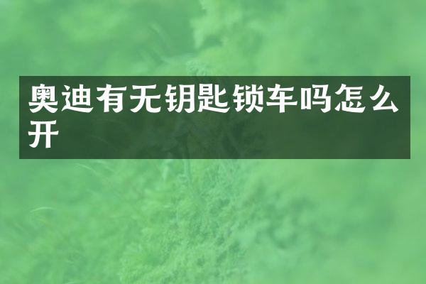 奥迪有无钥匙锁车吗怎么开