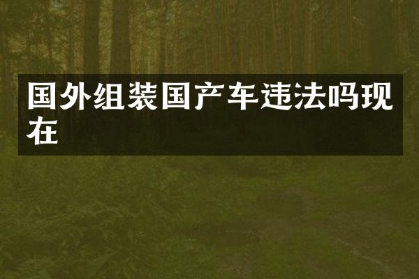 国外组装国产车违法吗现在