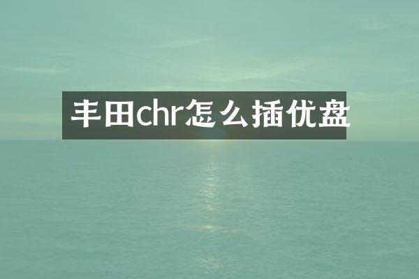 丰田chr怎么插优盘