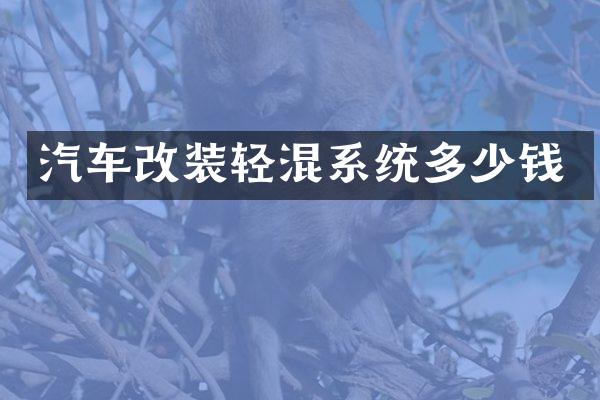 汽车改装轻混系统多少钱