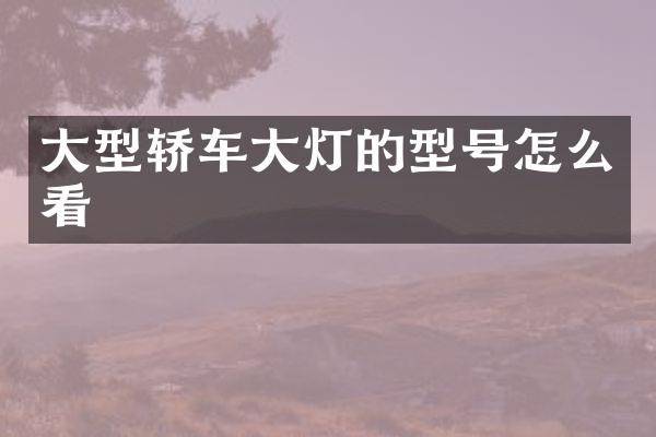大型轿车大灯的型号怎么看