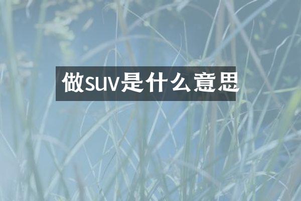 做suv是什么意思