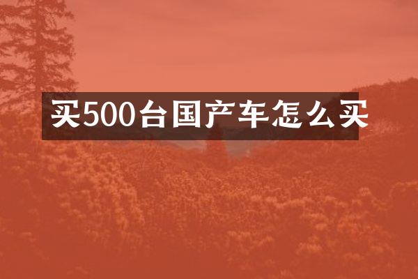 买500台国产车怎么买