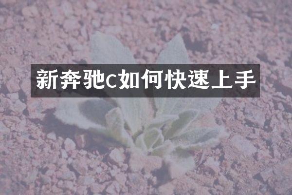 新奔驰c如何快速上手