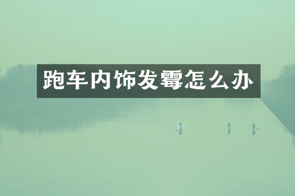 跑车内饰发霉怎么办