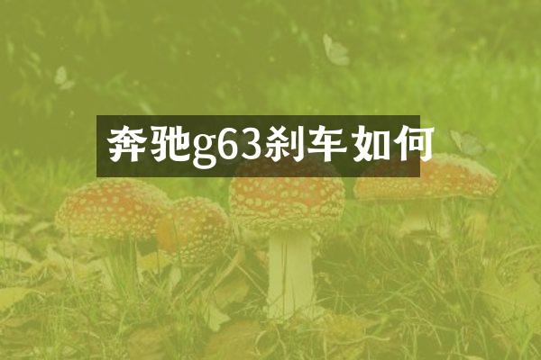 奔驰g63刹车如何