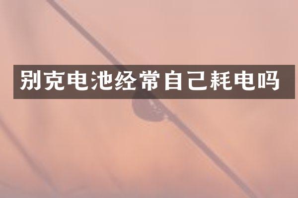 别克电池经常自己耗电吗