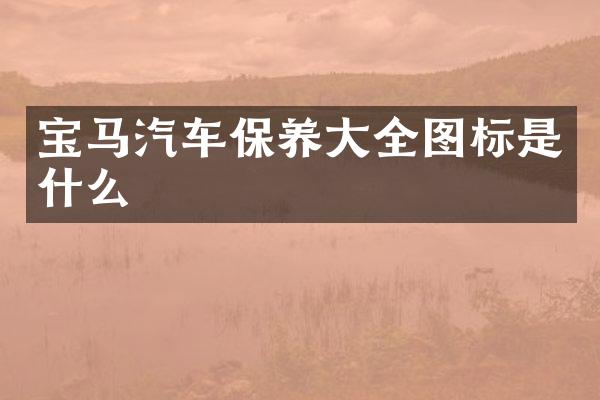 宝马汽车保养大全图标是什么