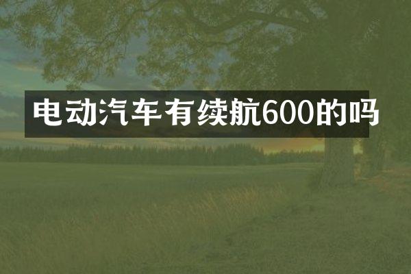 电动汽车有续航600的吗