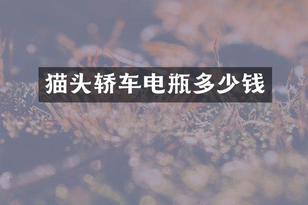 猫头轿车电瓶多少钱