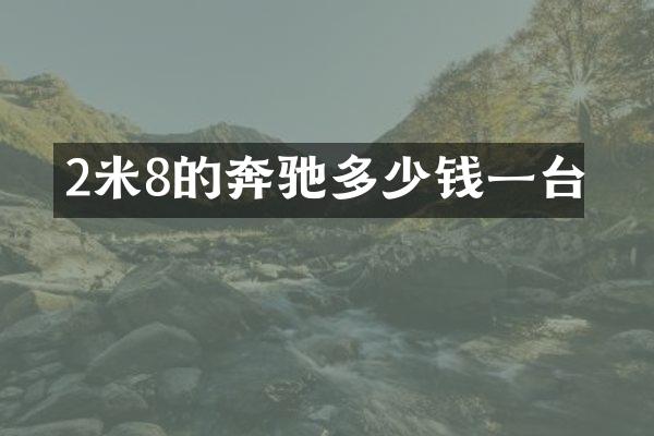 2米8的奔驰多少钱一台