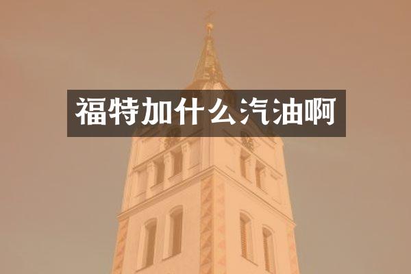 福特加什么汽油啊