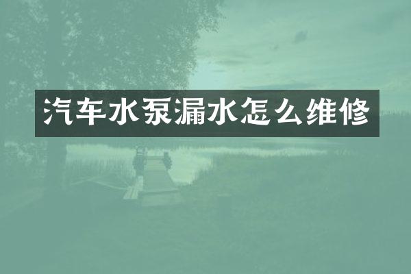 汽车水泵漏水怎么维修