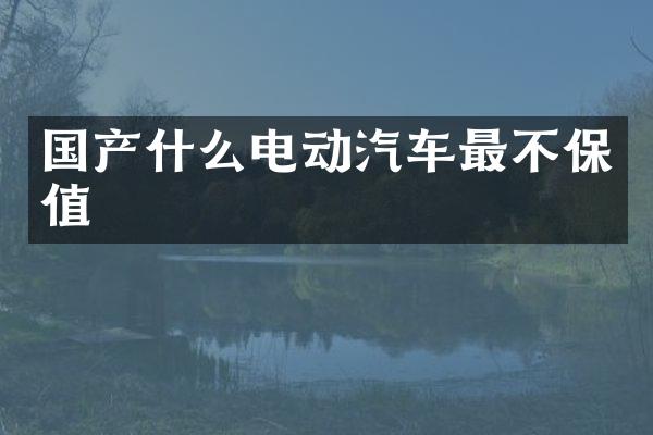 国产什么电动汽车最不保值