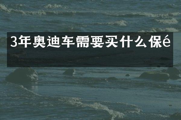 3年奥迪车需要买什么保险