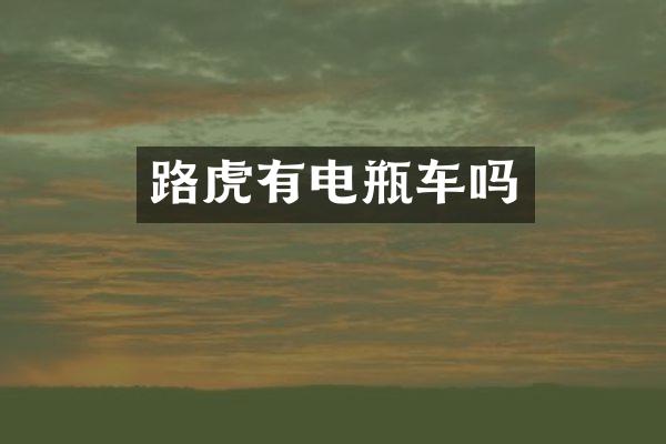 路虎有电瓶车吗