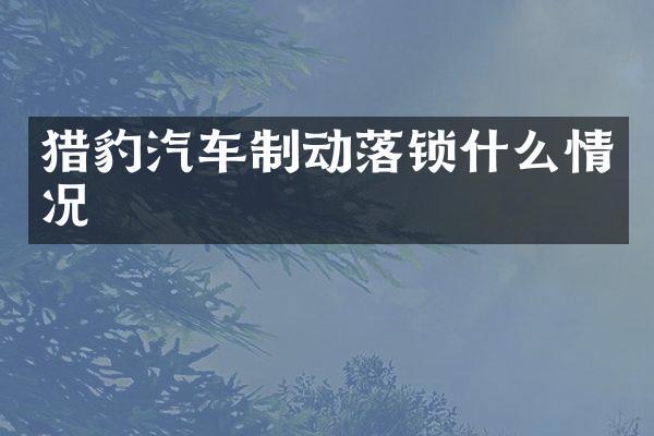 猎豹汽车制动落锁什么情况