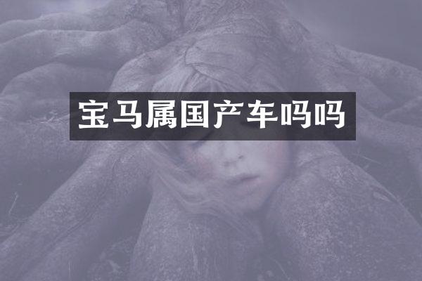 宝马属国产车吗吗