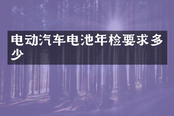 电动汽车电池年检要求多少