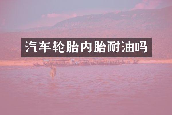 汽车轮胎内胎耐油吗