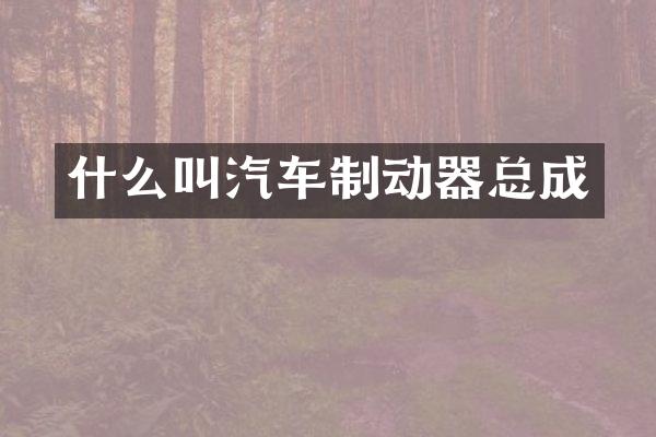 什么叫汽车制动器总成