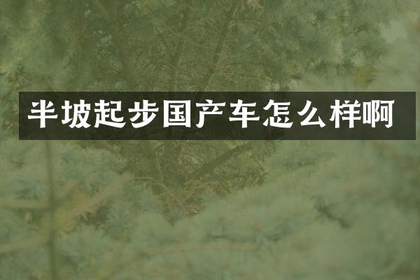 半坡起步国产车怎么样啊