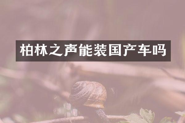 柏林之声能装国产车吗