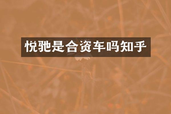 悦驰是合资车吗知乎