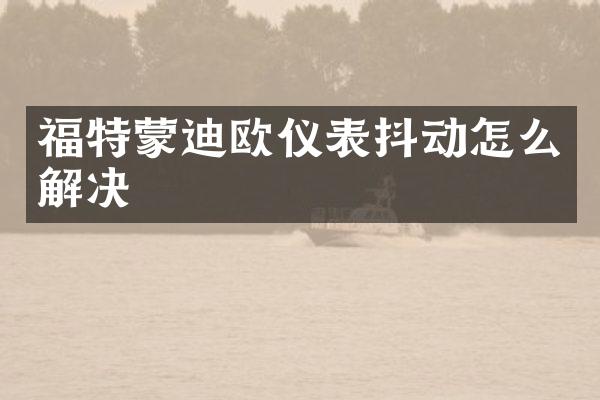 福特蒙迪欧仪表抖动怎么解决